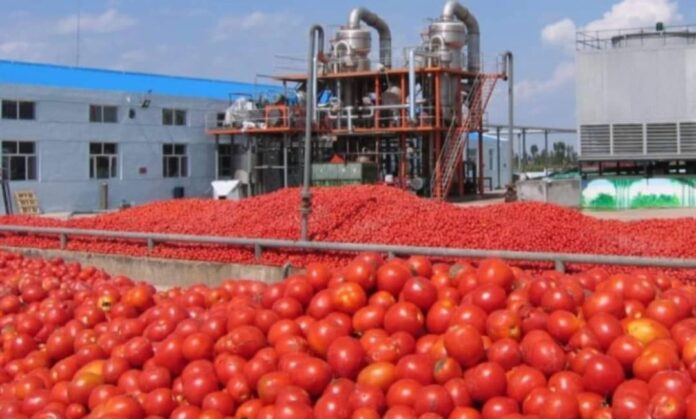 Le Burkina Faso inaugure une usine de transformation de tomates à Bobo-Dioulasso : une avancée majeure pour l’agro-industrie